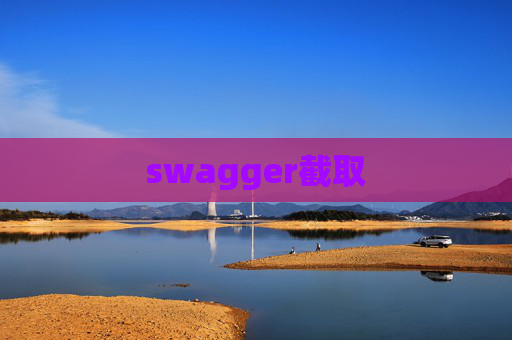 swagger截取